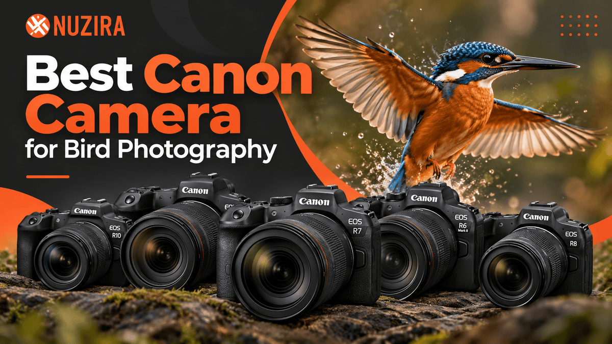 Best Canon Camera for Bird Photography For 2026