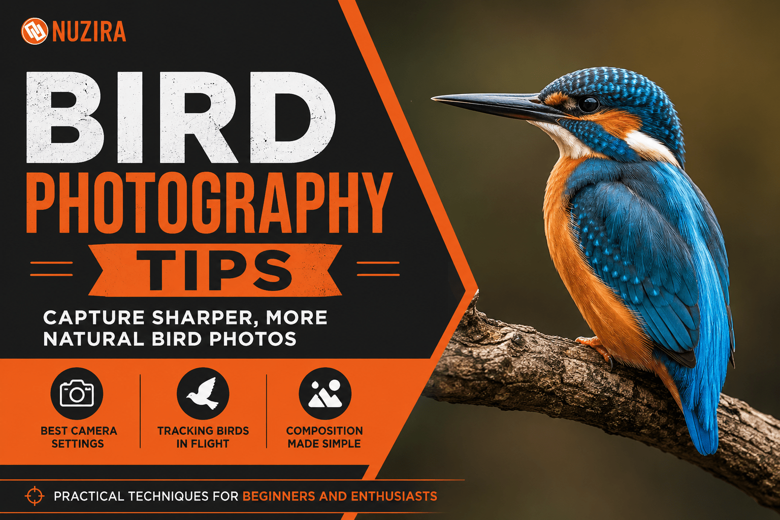 Bird Photography Tips to Capture Sharper Birds