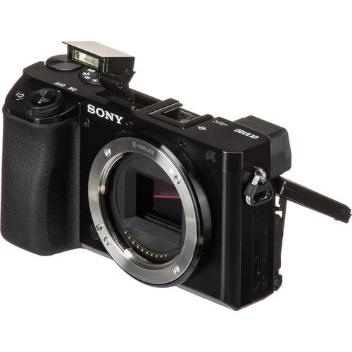 Sony Alpha a6100 Mirrorless Camera