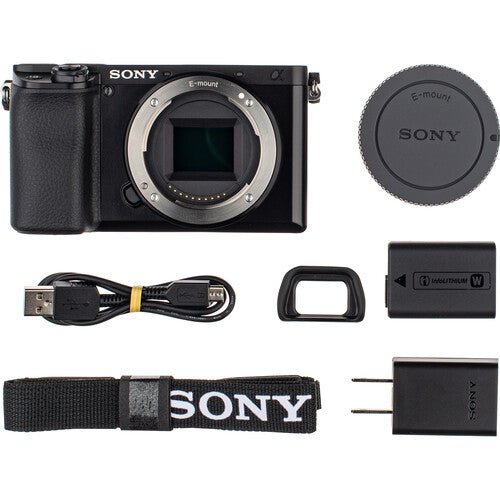 Sony Alpha a6100 Mirrorless Camera