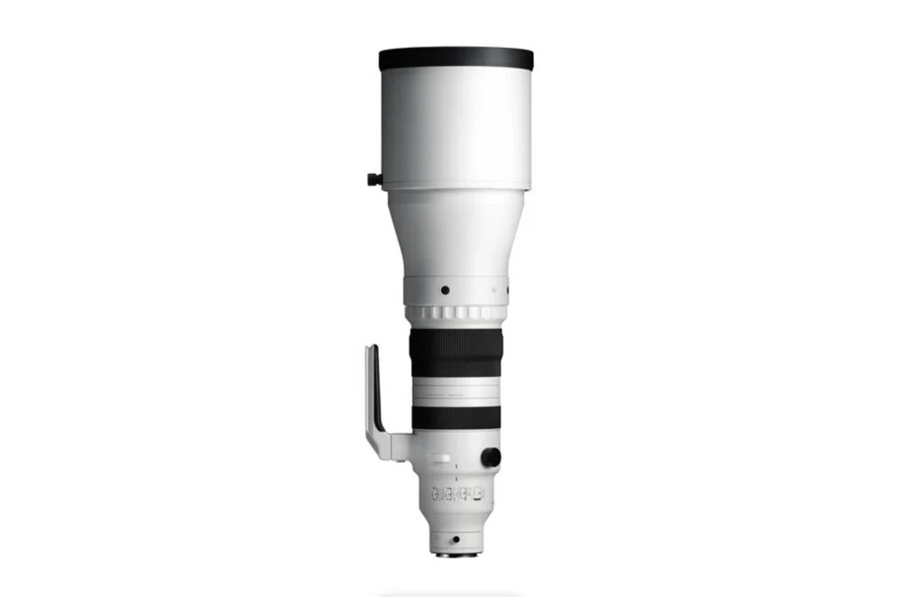 Sigma 300-600mm f/4 DG OS Sports Lens