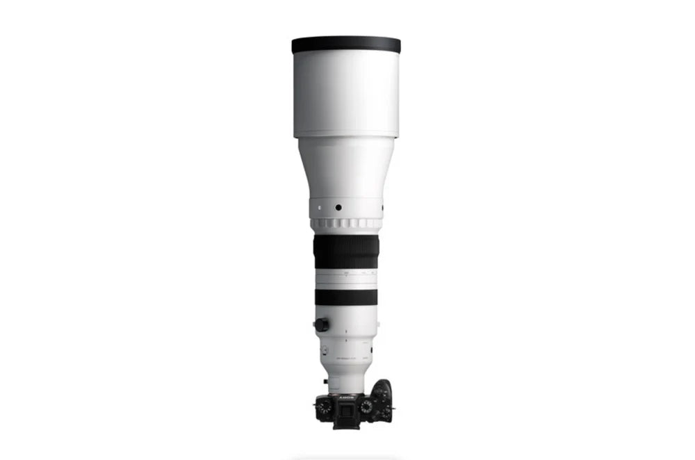 Sigma 300-600mm f/4 DG OS Sports Lens