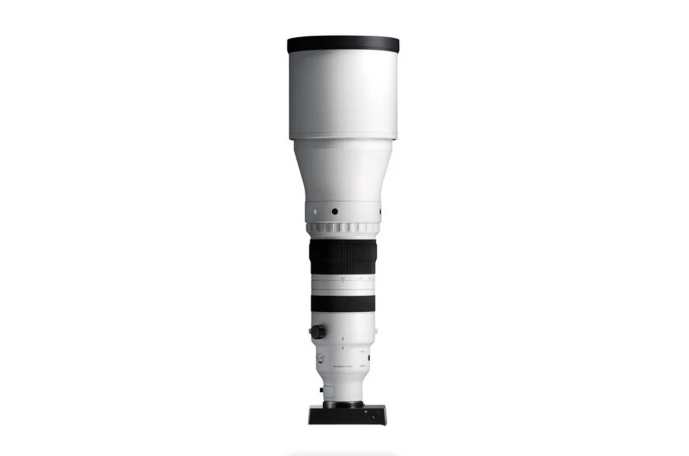 Sigma 300-600mm f/4 DG OS Sports Lens