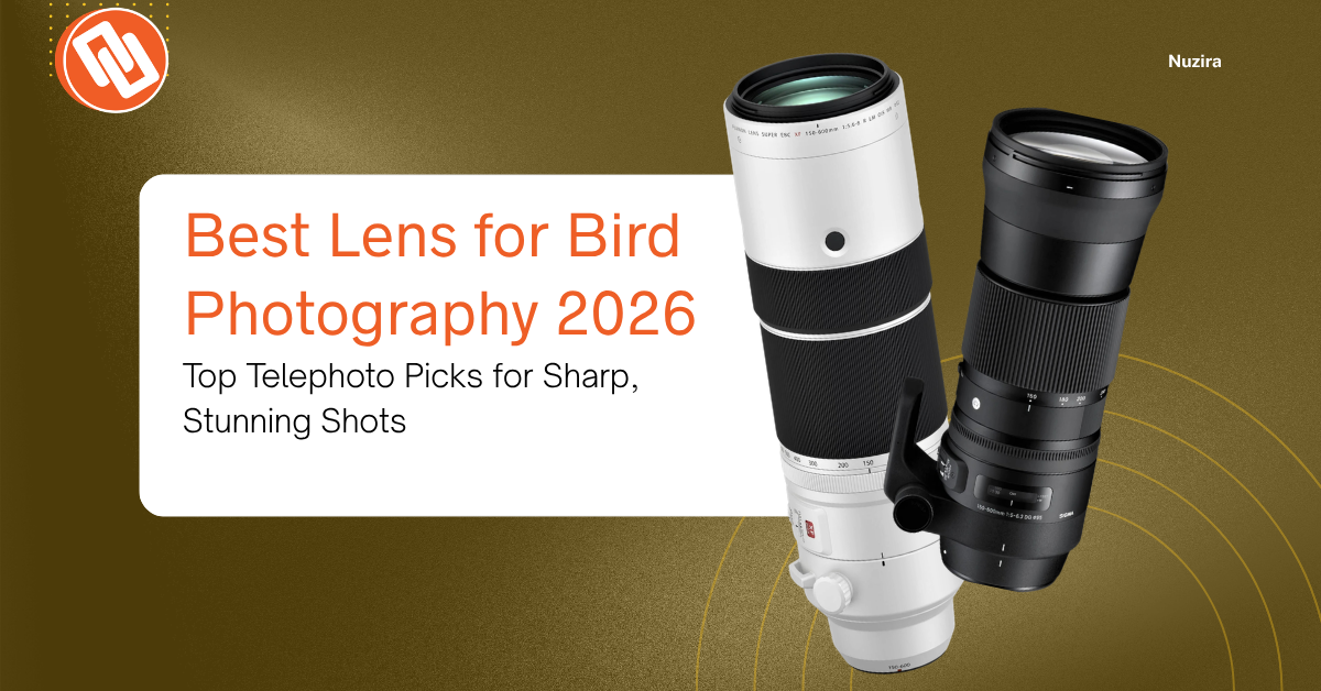 Best Lens for Bird Photography: Top Picks for 2026