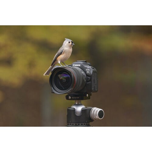 Canon EOS R6 Mark III Mirrorless Camera