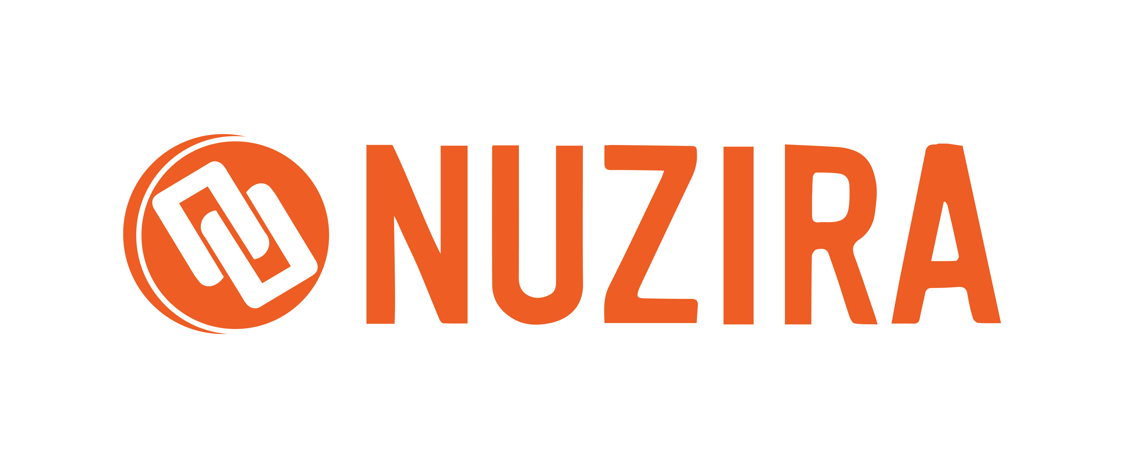Nuzira logo