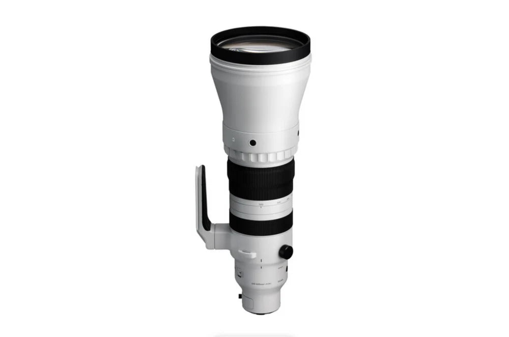Sigma 300-600mm f/4 DG OS Sports Lens