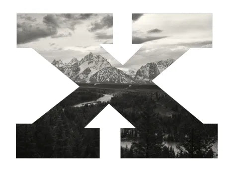 Fuji X