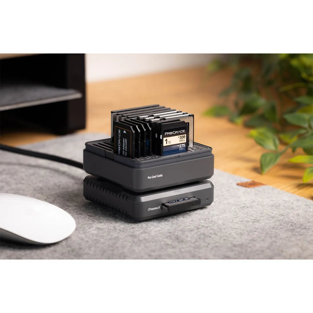 Prograde Digital Pro Card Caddy Case for Memory Cards