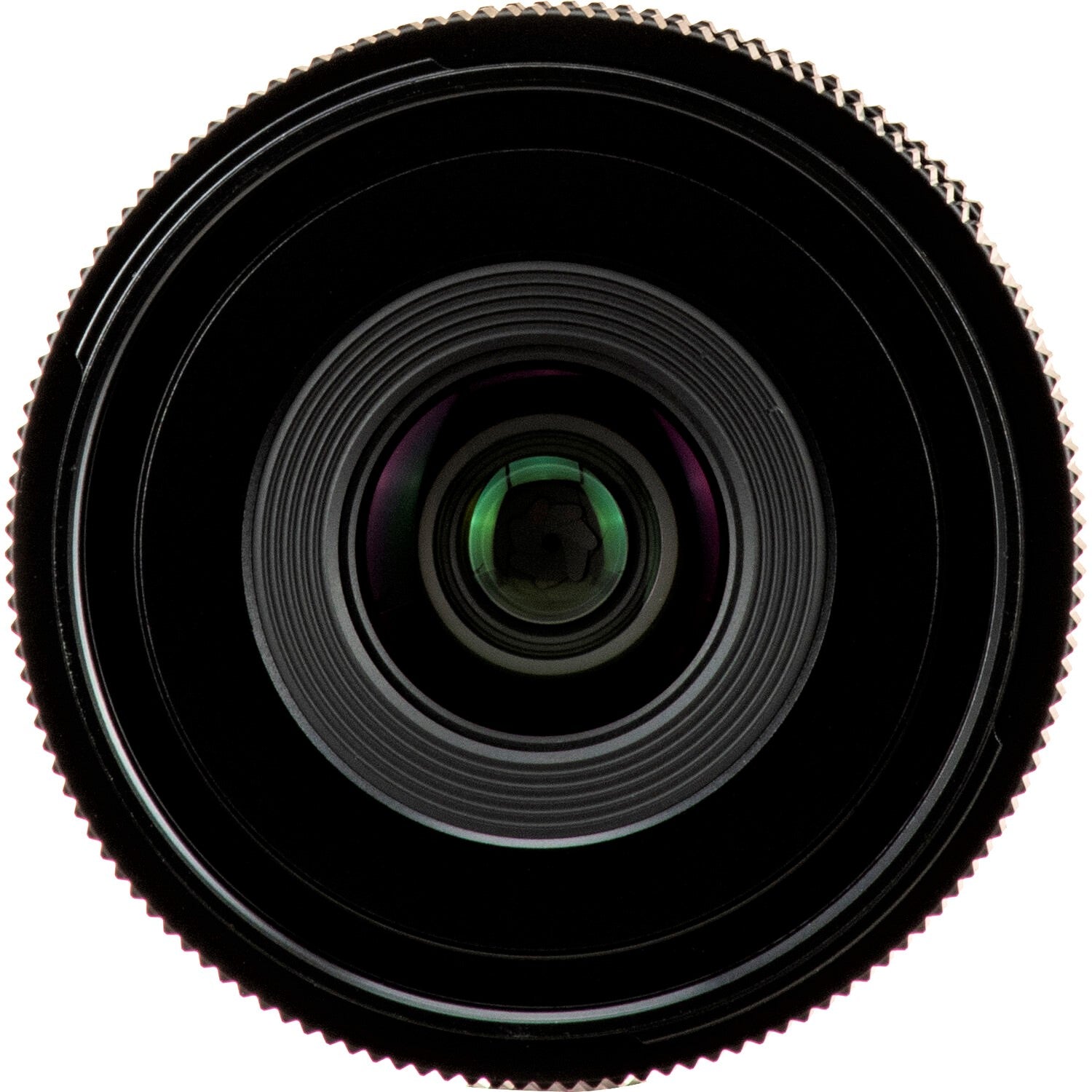 Sigma 24mm F3.5 DG DN Contemporary Lens (Leica L Mount) in a Full Close-Up View