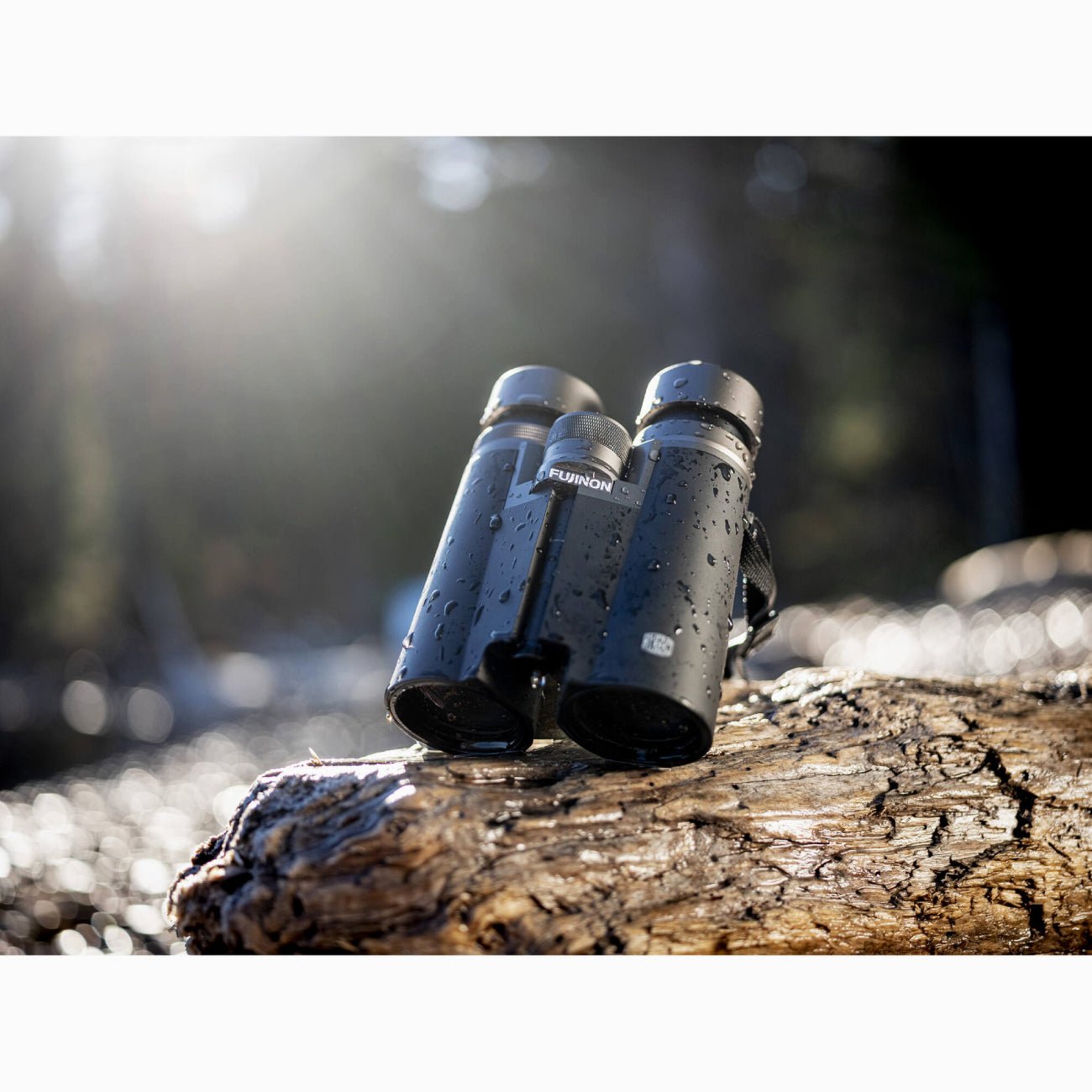 Fujinon 8x42 Hyper Clarity Binoculars - In Outdoor Setting
