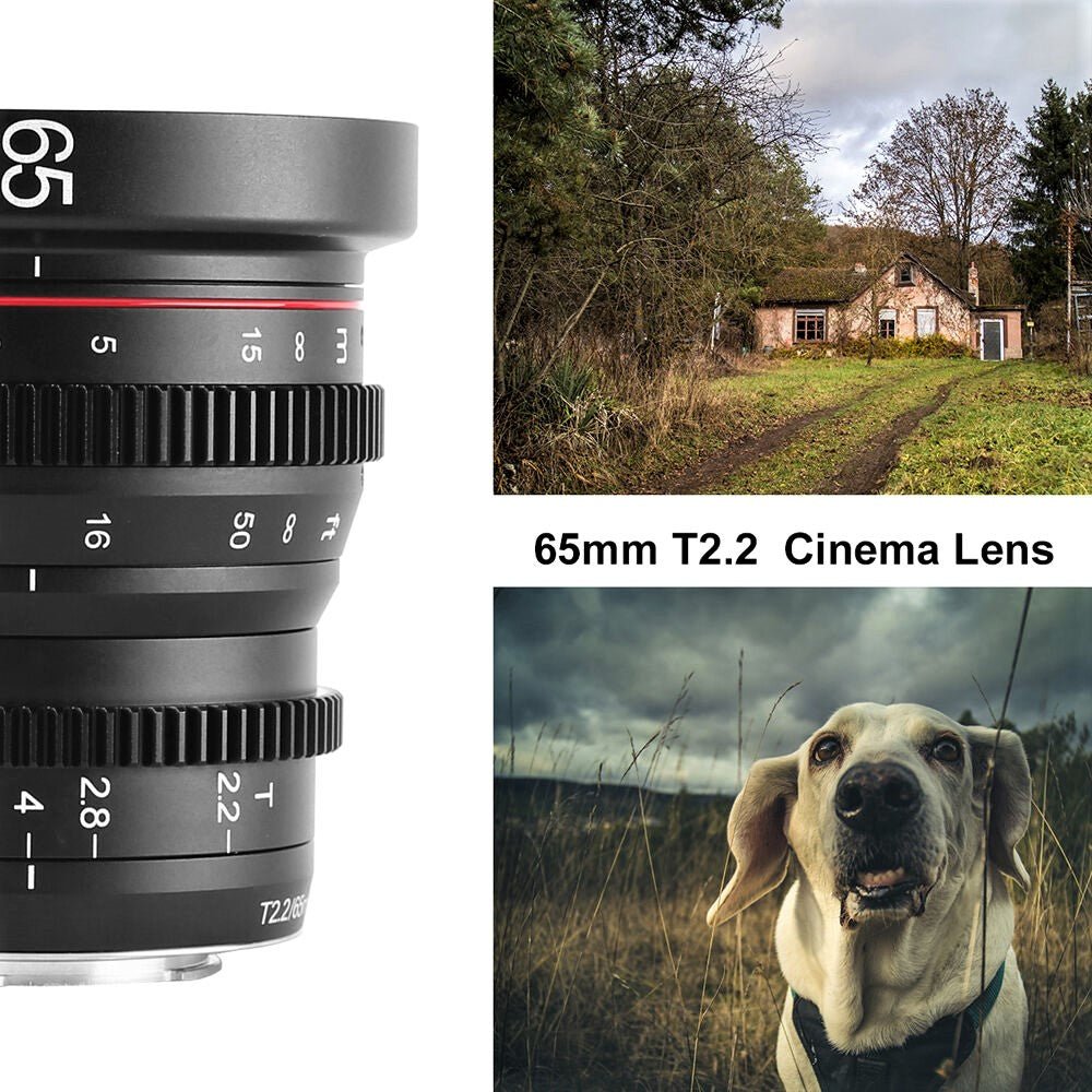 Meike Cinema Prime 65mm T2.2 Lens (MFT Mount) with Sample Shots