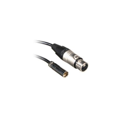 Blackmagic Design Mini XLR Cables (Set of 2, 19.5'')